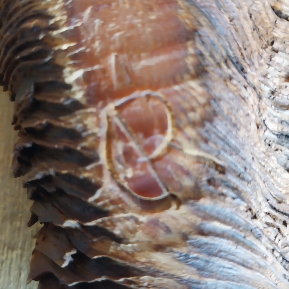 Vintage Wood Spirit Carving Forest Face Tree Wizard Sculpture Artisan - Picture 6 of 7